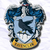 :iconhpfan1ravenclawgirl: