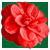 :iconhprune: