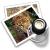 :iconhpune: