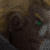 :iconhr1231:
