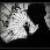 Hrabina312 :iconhrabina312: