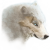 :iconhragnir: