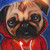 :iconhsenn: