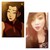 :iconhsm450: