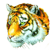 :iconhtf-scratchy: