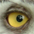 :iconhtid: