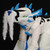 :iconhttyd4life: