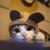 :iconhuahua97:
