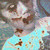 :iconhuawaii: