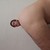 :iconhublebab: