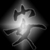 :iconhuckle-berry:
