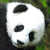 :iconhud-sama: