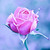 :iconhudar14: