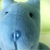 :iconhuggasocks: