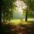 :iconhuggingtrees: