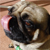 :iconhughdunit72: