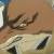 :iconhuginandmunin1: