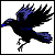 :iconhuginnmuninn: