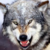 :iconhugwolf11: