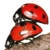 :iconhuk7: