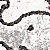 :iconhumancircus: