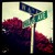 :iconhumbleolivebranch: