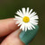 :iconhummingbiird:
