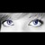 :iconhummingbird-hinata:
