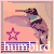:iconhummingbird-zara: