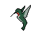 :iconhummingbird2plz: