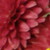 :iconhummingbird310: