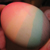 :iconhummingbirdegg: