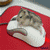 :iconhumpahumpaplz: