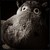 :iconhumphreyhippo: