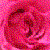 :iconhungryabuser:
