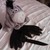 :iconhungryforhands: