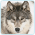 :iconhunte-x: