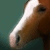 :iconhunter-jumpergirl-13: