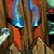 :iconhunter-raptor: