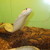 :iconhunter12396: