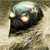 :iconhunter133: