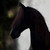 :iconhunter1998060: