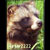 :iconhunter2222: