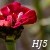 :iconhunterjumper5: