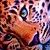 :iconhunterw: