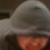 :iconhunterwilhelm: