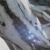 :iconhunterx241: