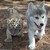 :iconhunterxmoon: