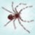 huntsman-designs :iconhuntsman-designs: