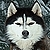 :iconhuralp: